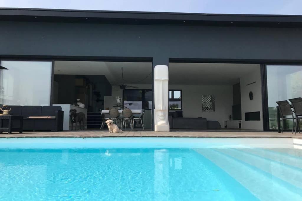 Le Luxury Apartment Sene Bagian luar foto